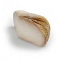 Queso de Cabra del Empordà