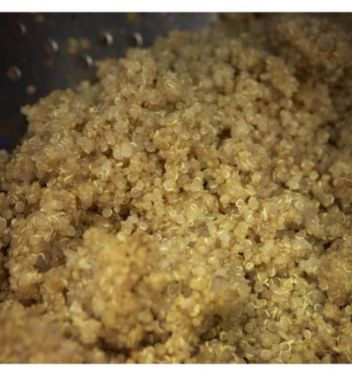 Quinoa Real Cocida Ecológica