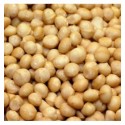 Macadamia Cruda
