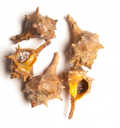 Cañailla