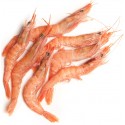 Gamba Congelada Gran