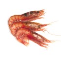 Gamba Congelada Vermella G