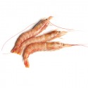 Gamba Langostinera Cong n2 (2Kg)