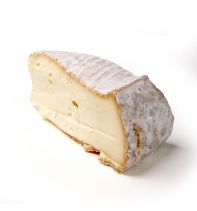 Taleggio