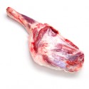 Espatlla Xai Sencera Forn