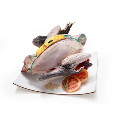 Pollo Payés Besàvia (Penedés)