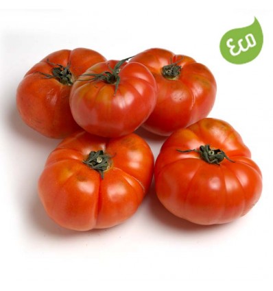 Tomate Ensalada Ecológico