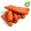 Zanahorias Ecológicas