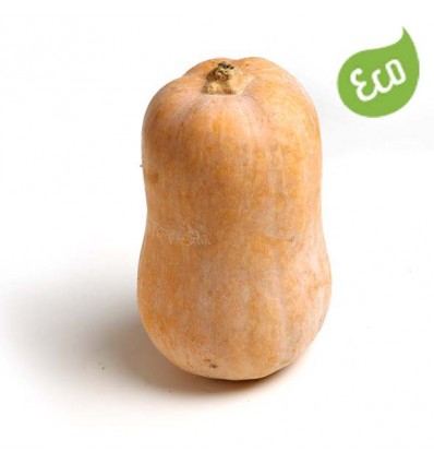 Calabaza Ecológica