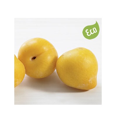 Ciruela Amarilla Ecológica
