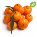 Mandarina Ecològica
