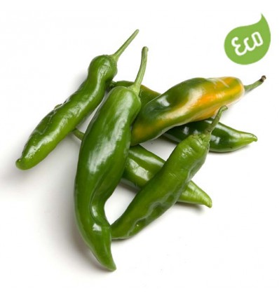 Pimiento Verde Ecológico