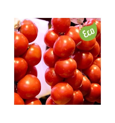 Tomate de Colgar Ecológico Suelto