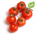 Tomate Rama Ecológico
