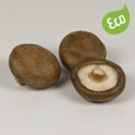 Shiitake Ecológico