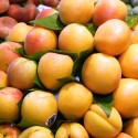 Albaricoque Amarillo Extra