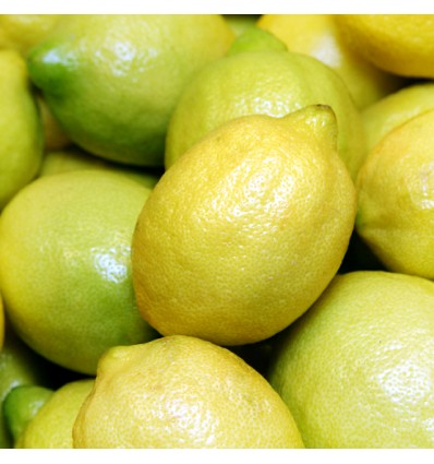 Limones Verna