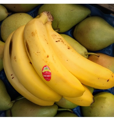 Plátano de Canarias