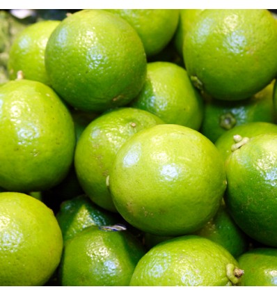 Llima