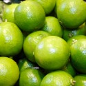 Llima