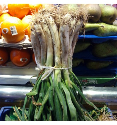 Calçots (25u)