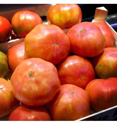 Tomàquet Rosa d'Altea