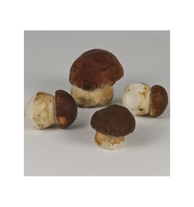 Cep del Pirineo