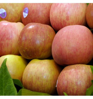 Manzana Fuji Extra