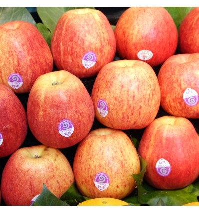 Manzana Royal Gala Extra