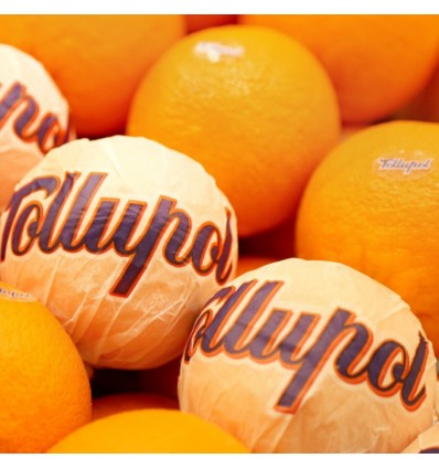 Naranjas Tollupol Extra