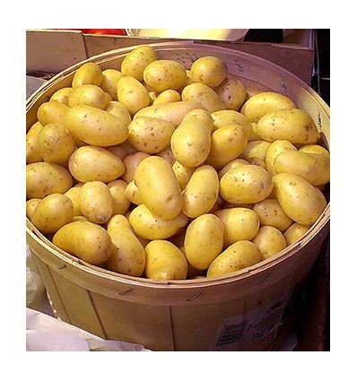 Patatas Platillo