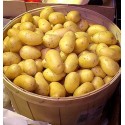 Patates "Platillo"