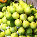 Perita de Sant Joan