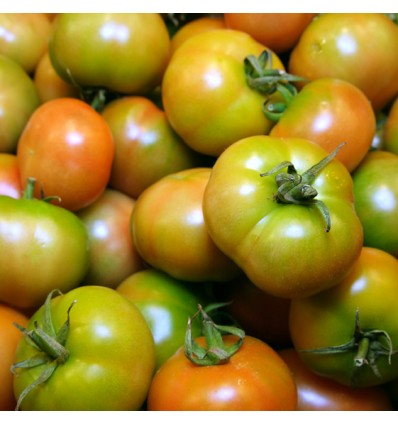 Tomate Verde País