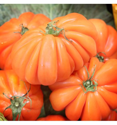 Tomates Cor de Bou