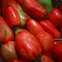 Tomate Pimiento