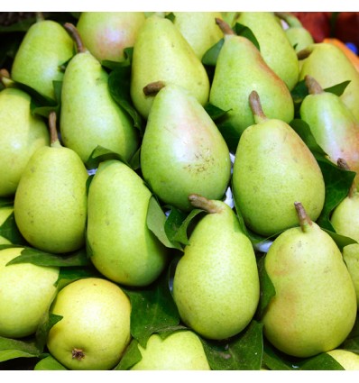 Ciruela "Collita Pròpia"