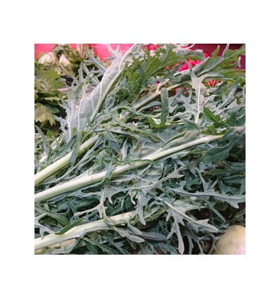 Ciruela "Collita Pròpia"