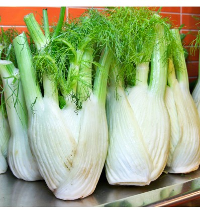 Hierbas para Caldo "Collita Pròpia"