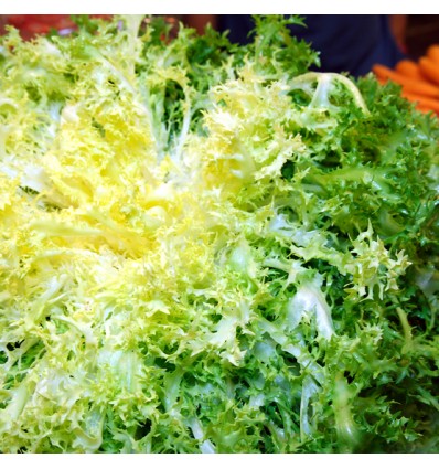 Hinojo "Collita Pròpia"