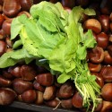 Rúcula Collita Pròpia