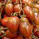 Tomate Cherry Tigre "Collita Pròpia"