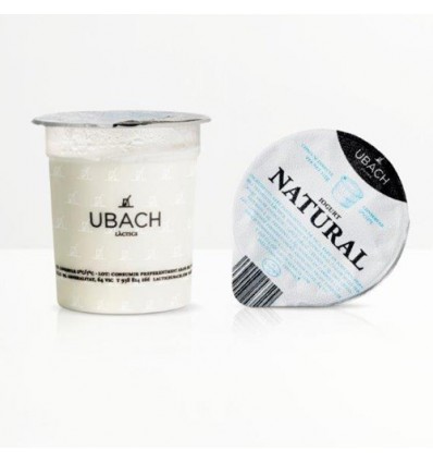 Yogurt Natural Artesanal