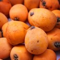 Nísperos de Tarragona
