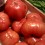 Tomate Barbastro "Collita Propia"
