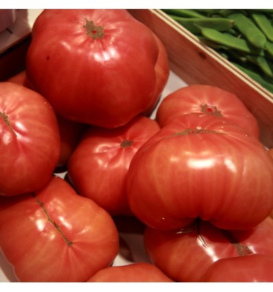 Tomate Barbastro "Collita Propia"