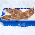 Bruja de Cudillero a filetes (800g)
