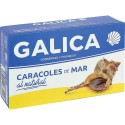 Caracoles de Mar al Natural Galica