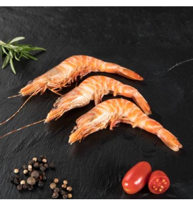 Langostino Tigre Cocido