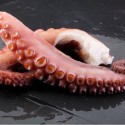 Pulpo Pata Mediana Cocida